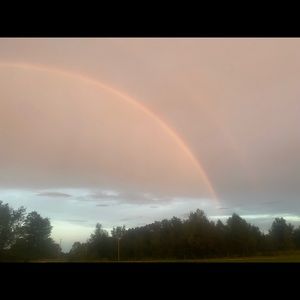 Meet your Posher, Diana